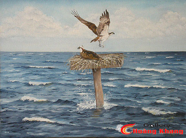 Tranh Thuyền Bườm